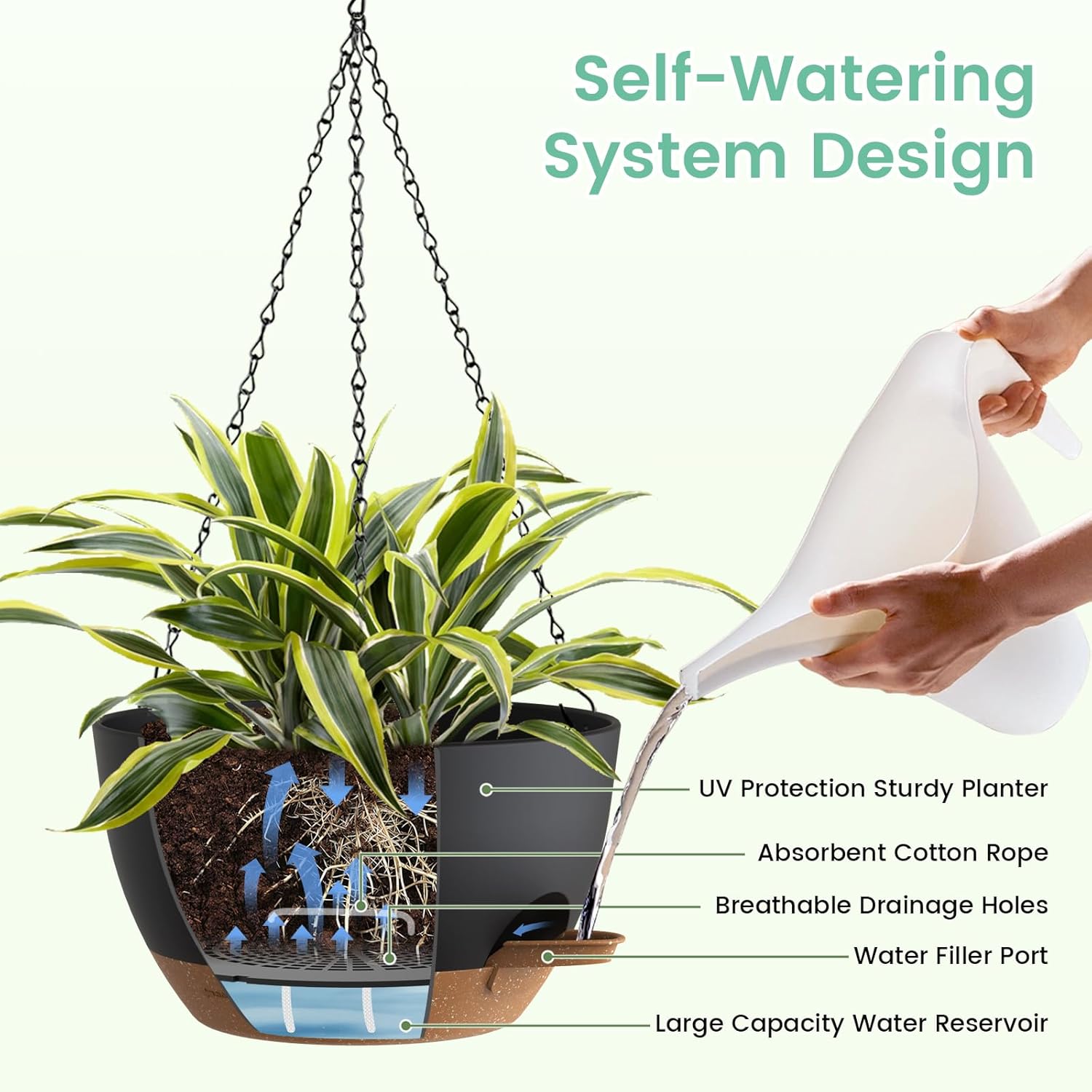 Self Watering Hanging Planters - مراجعة Spider Plant Hanging وسعره