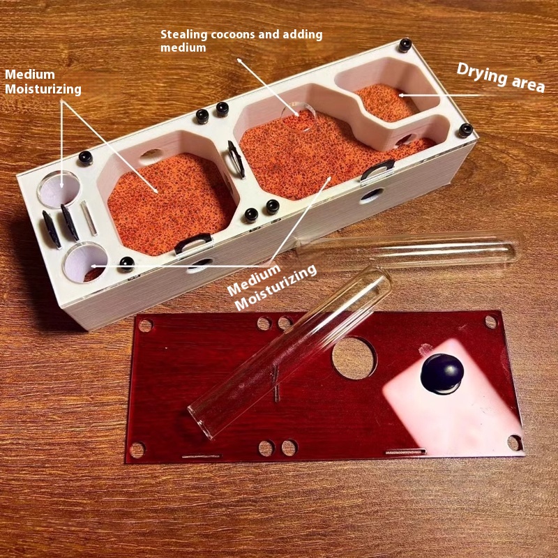 Ant Farm mini CC with External - مراجعة Begonia Rex وسعره
