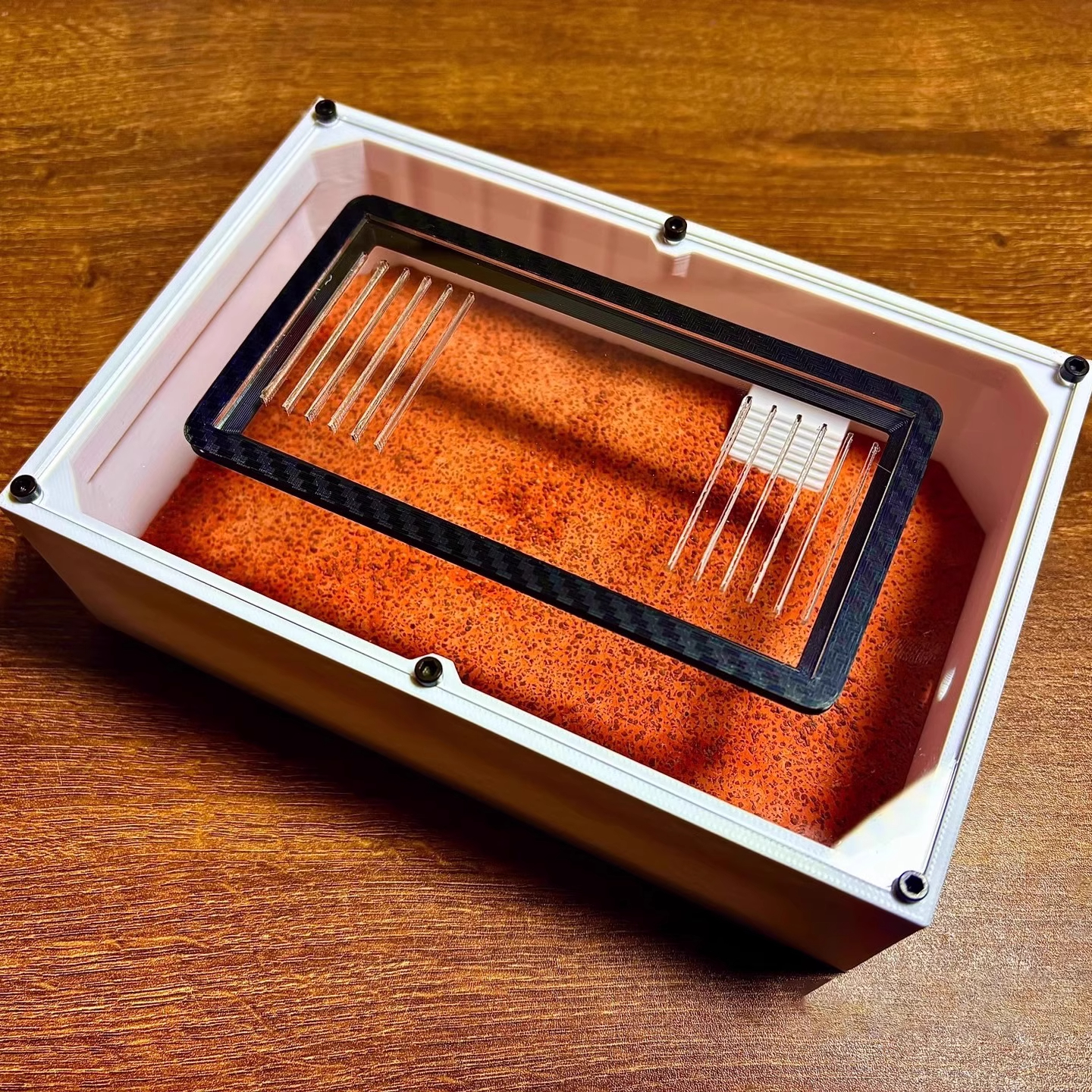 Ant Farm mini CC with External - مراجعة Begonia Rex وسعره