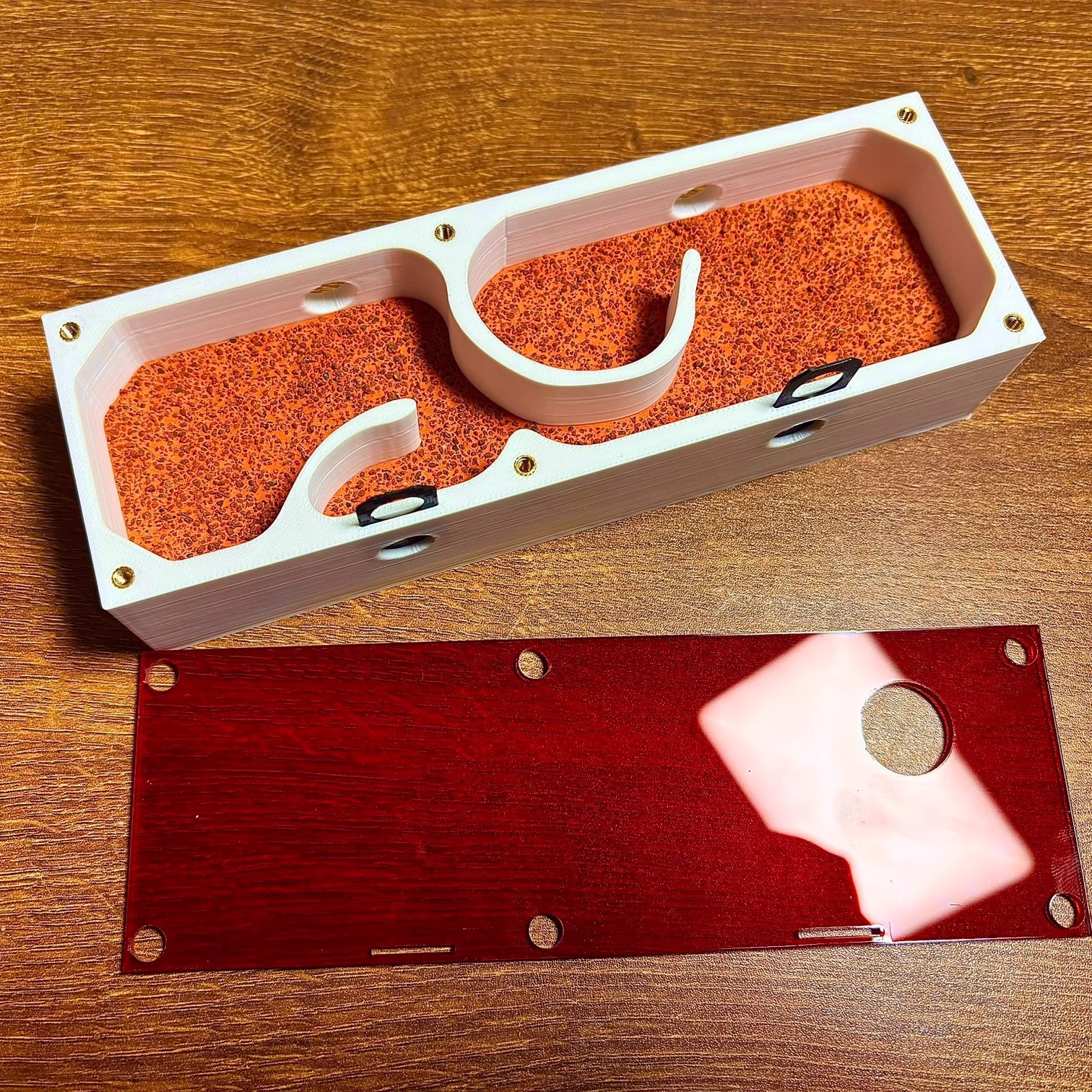 Ant Farm mini CC with External - مراجعة Begonia Rex وسعره