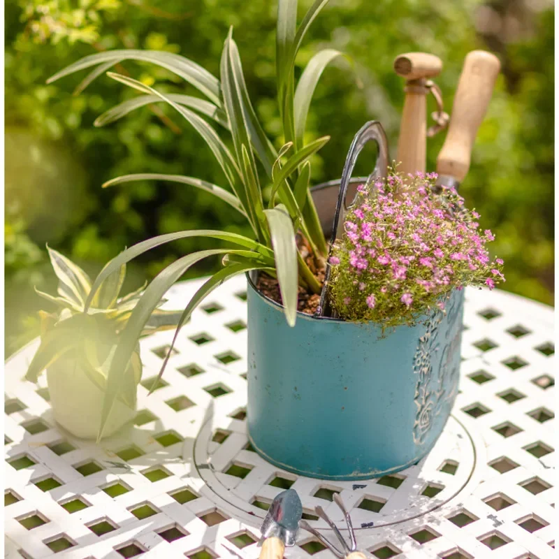Blue Hanging Wall Planter Aged - مراجعة Spider Plant Hanging وسعره