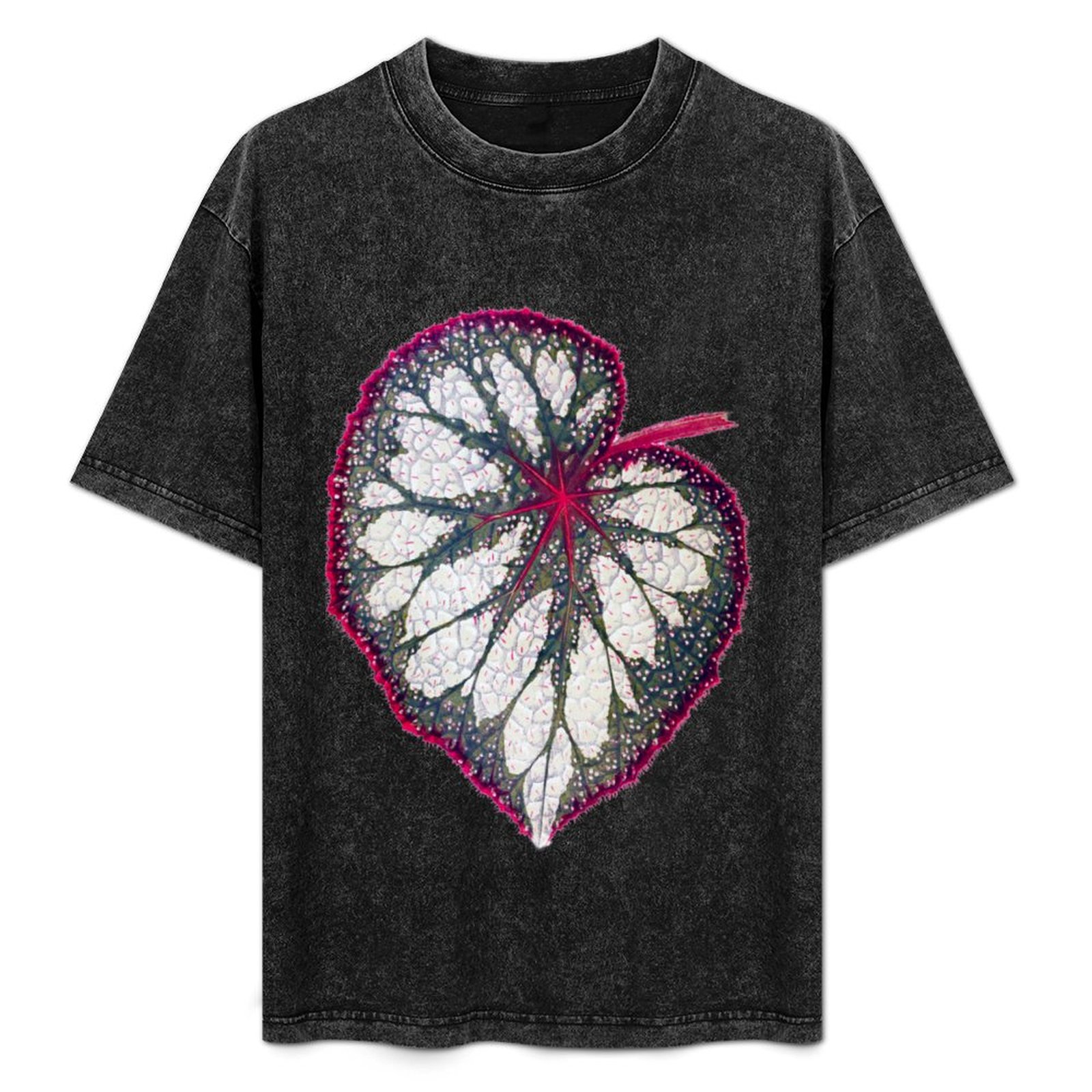 Begonia rex T-Shirt Holiday Si - مراجعة Begonia Rex وسعره