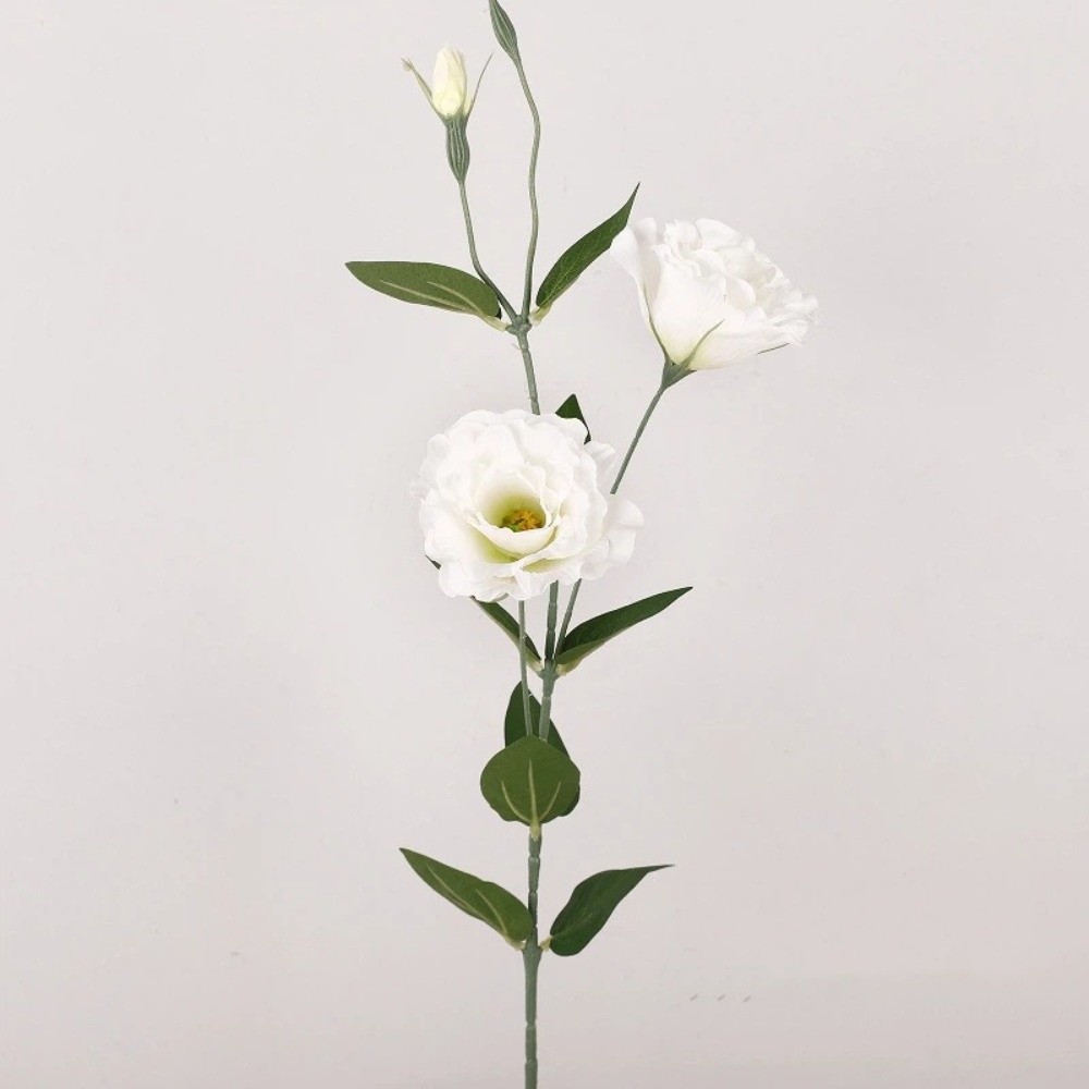 Platycodon Flower Artificial B - مراجعة Ficus Lyrata Tree وسعره