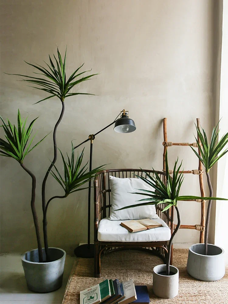 Simulation Plant Dracaena Marg - مراجعة Dracaena Marginata وسعره