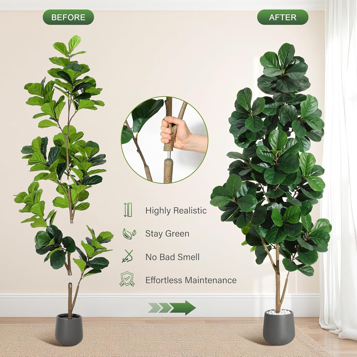 4FT/5FT/6FT/7FT Fiddle Leaf Fi - مراجعة Ficus Lyrata Tree وسعره