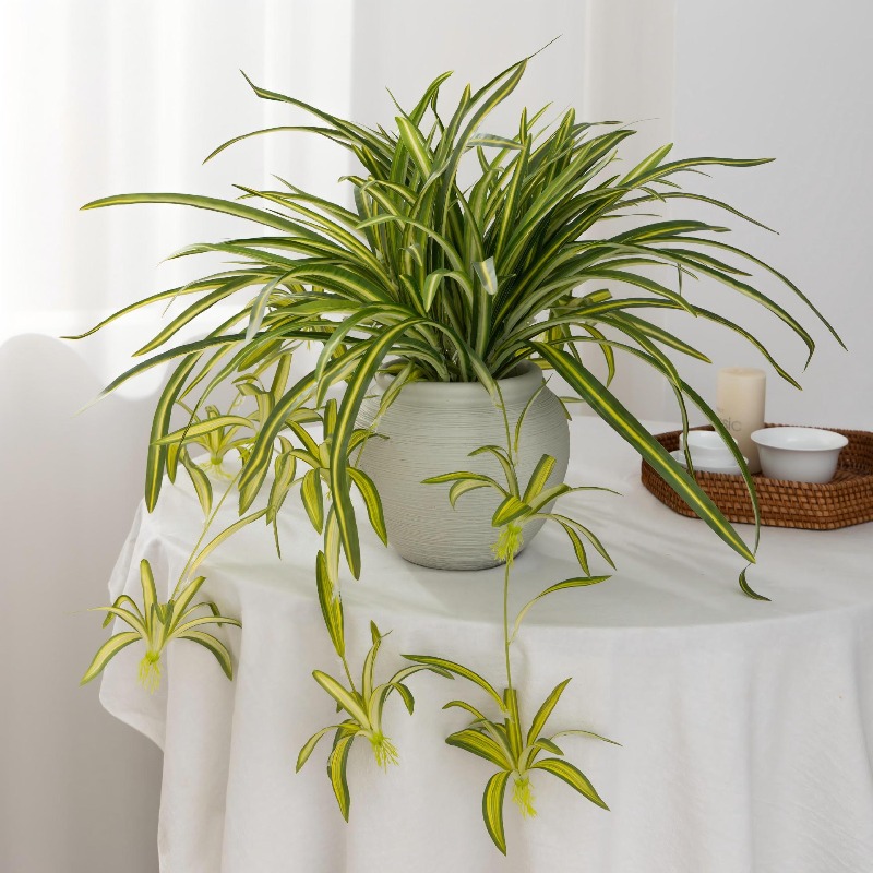 Artificial Spider Plant Chloro - مراجعة Spider Plant Hanging وسعره
