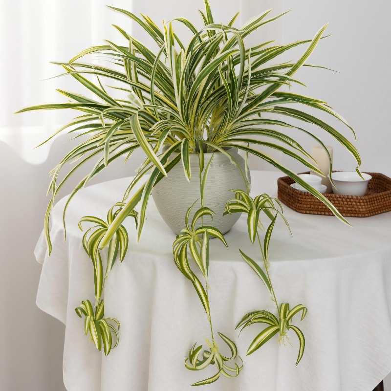 Artificial Spider Plant Chloro - مراجعة Spider Plant Hanging وسعره