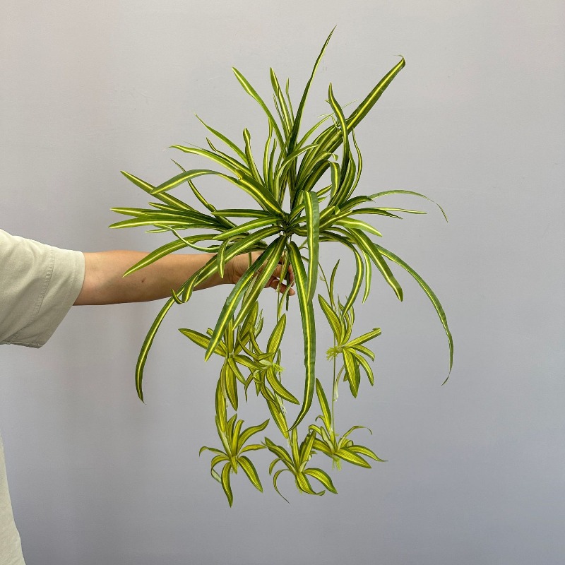 Artificial Spider Plant Chloro - مراجعة Spider Plant Hanging وسعره
