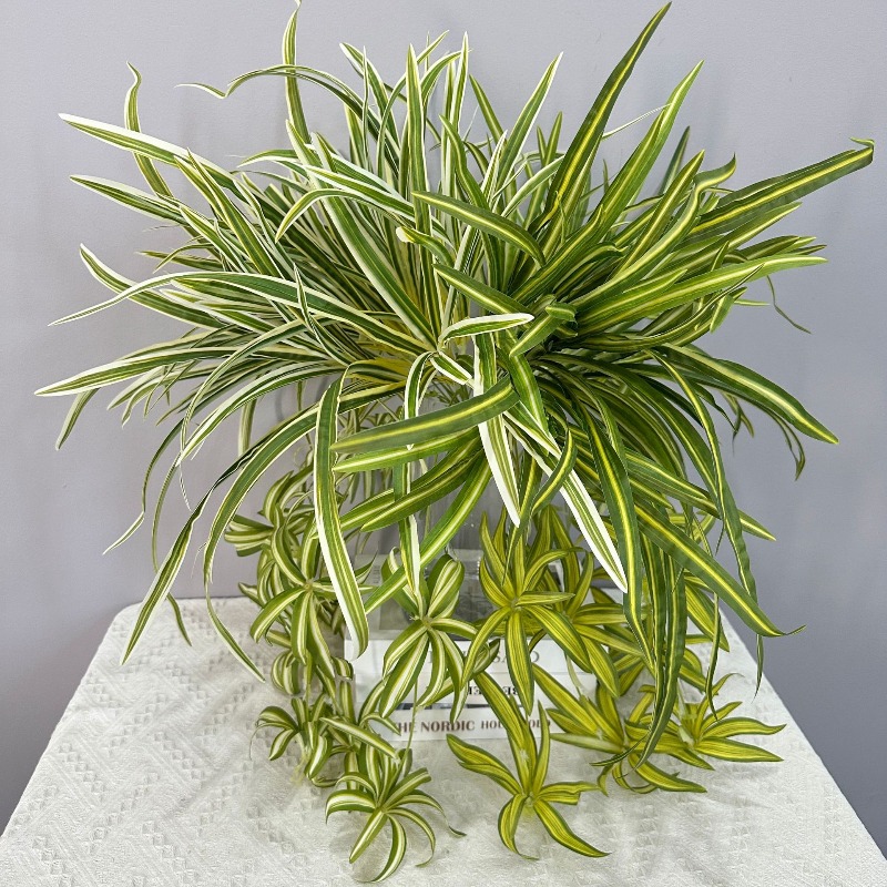 Artificial Spider Plant Chloro - مراجعة Spider Plant Hanging وسعره