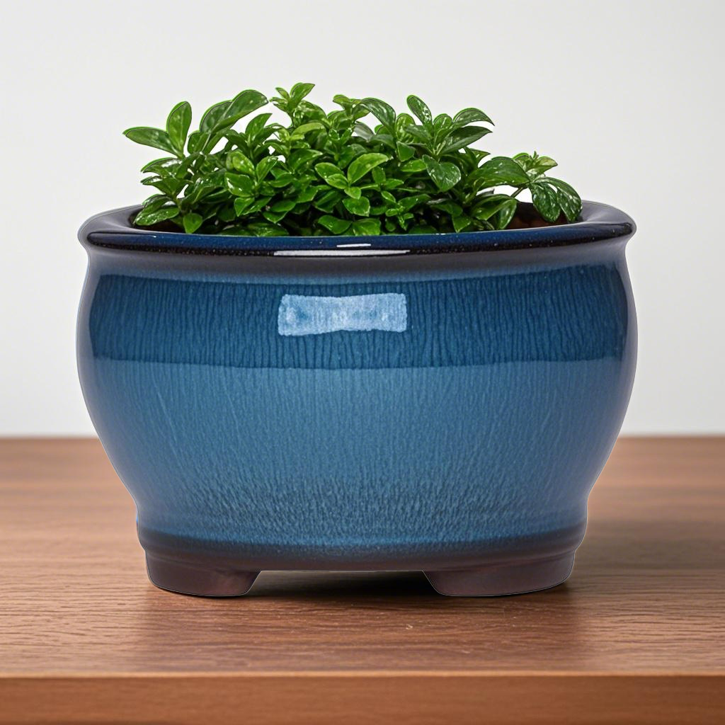 Ceramic Garden Planter Pots Ce - مراجعة Aloe Vera Pot وسعره
