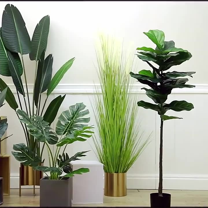 Simulation Palm Tree Artificia - مراجعة Ficus Lyrata Tree وسعره
