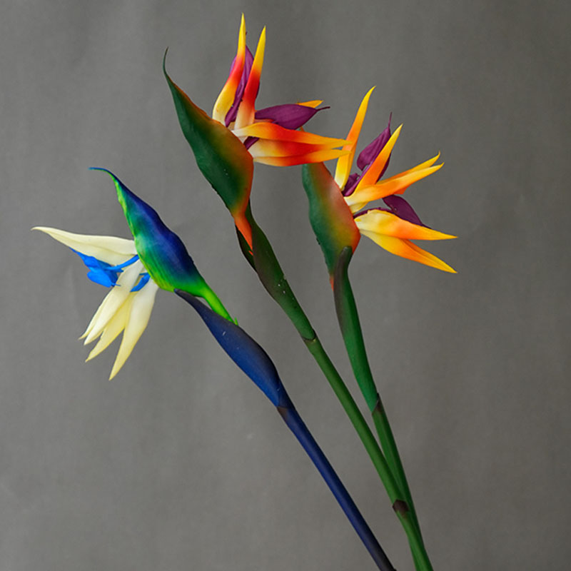 1PC Artificial Heaven Bird Flo - مراجعة Bird Paradise Strelitzia وسعره