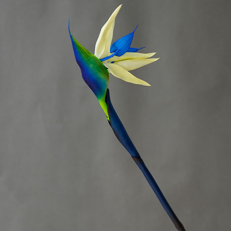 1PC Artificial Heaven Bird Flo - مراجعة Bird Paradise Strelitzia وسعره