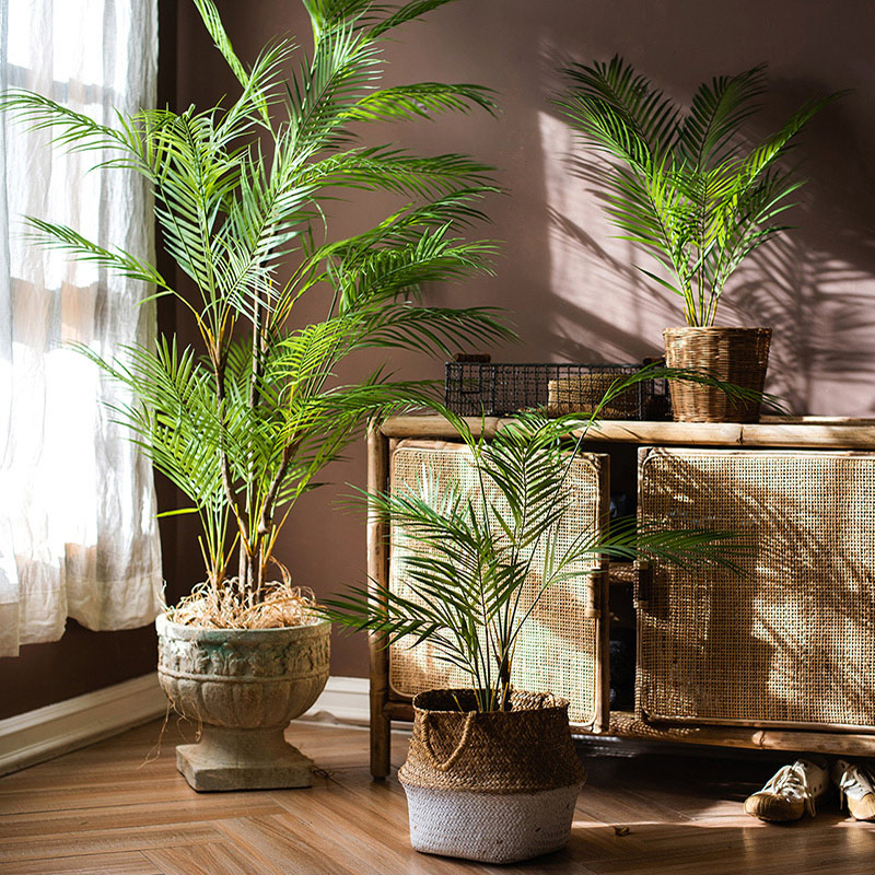 125cm Large Artificial Palm Tr - مراجعة Dracaena Marginata وسعره