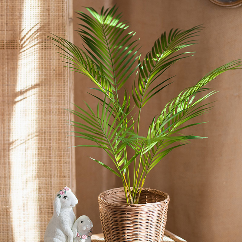 125cm Large Artificial Palm Tr - مراجعة Dracaena Marginata وسعره