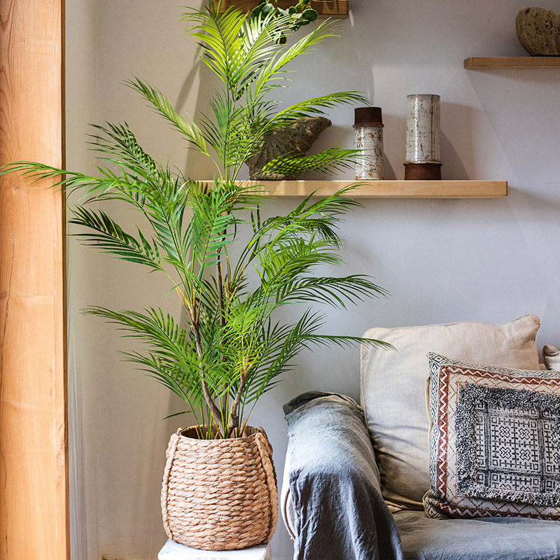 125cm Large Artificial Palm Tr - مراجعة Dracaena Marginata وسعره