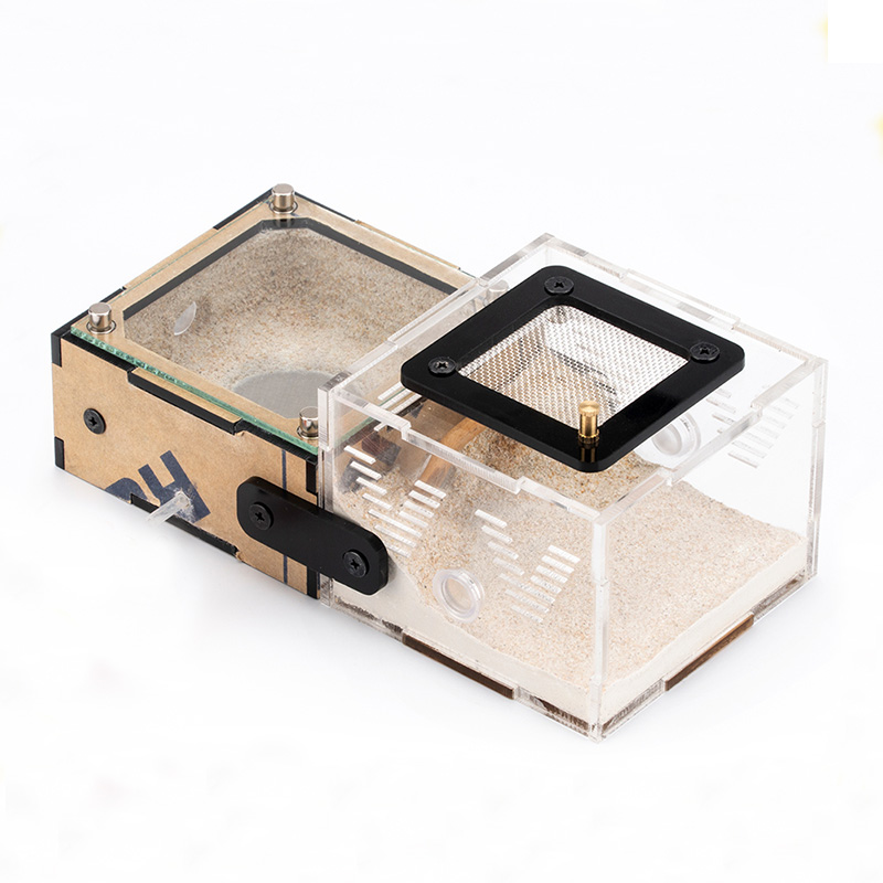 Unlimited Expansion Ant Farm H - مراجعة Begonia Rex وسعره