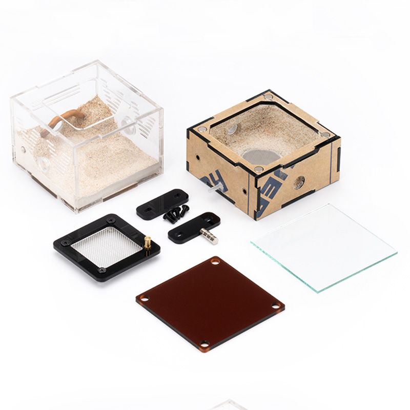 Unlimited Expansion Ant Farm H - مراجعة Begonia Rex وسعره