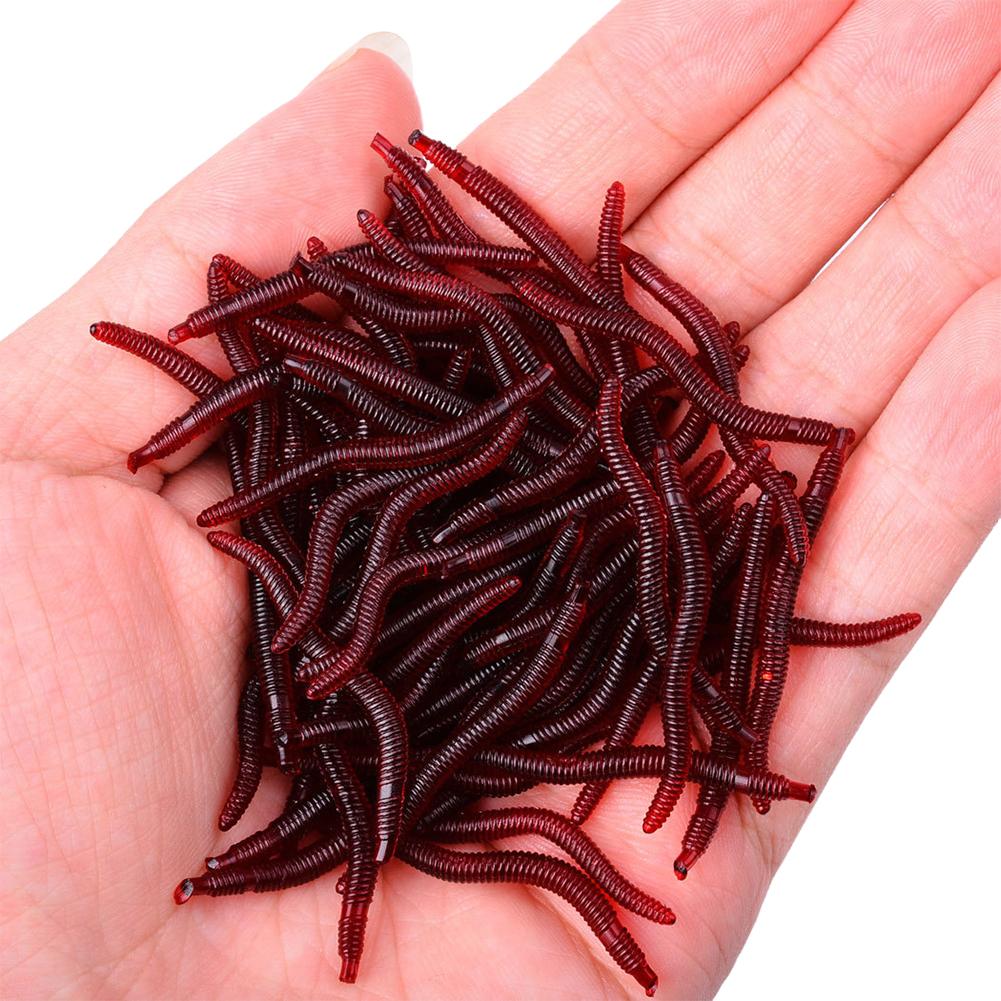 50/100PCS Soft Lure Bass Bream - مراجعة Aglaonema Red وسعره