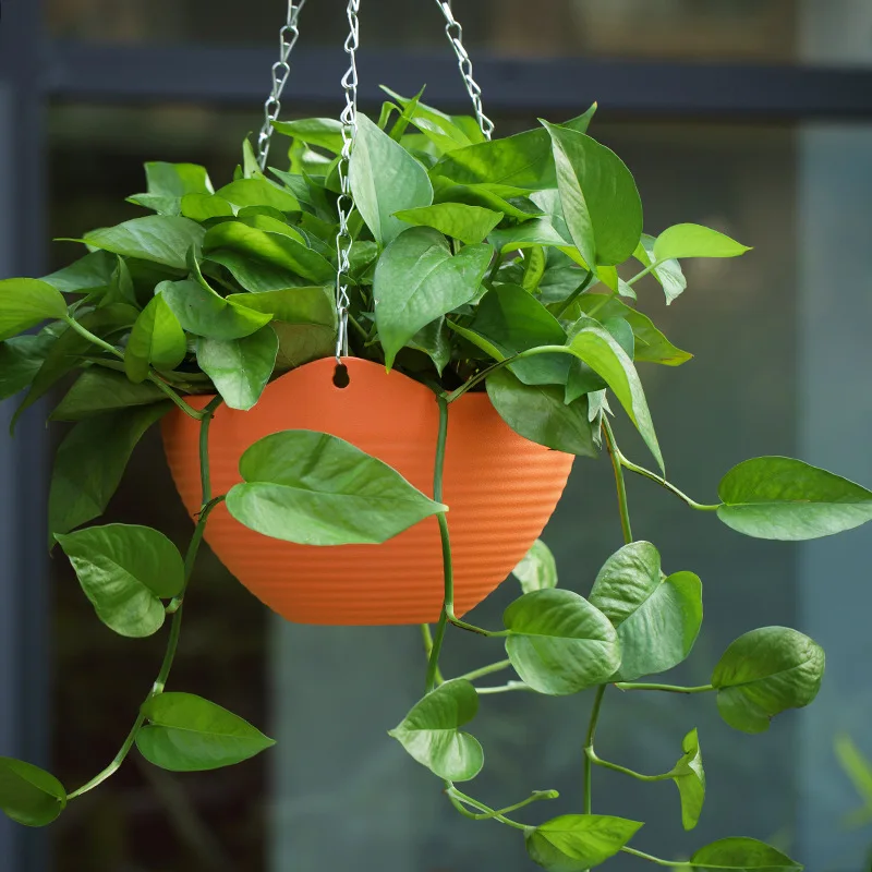 Plastic hanging basket flower  - مراجعة Spider Plant Hanging وسعره
